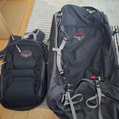 Travel bag osprey waypoint 85