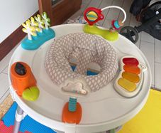 skip hop activity centre