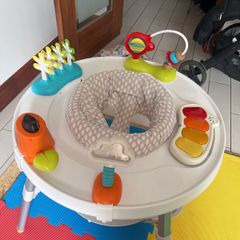 skip hop activity centre