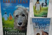 Sarah Lean Story Books
