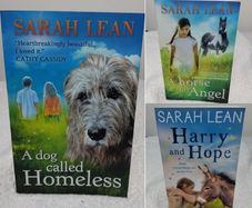 Sarah Lean Story Books