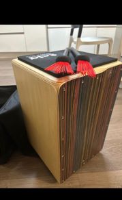 Cajon with bag and Bru-llets