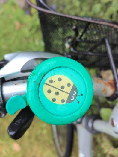 ladies bike