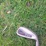 ProSimmon 8 Iron for sale Image 2