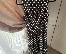 Zara dress