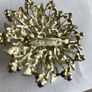 Brooch Image 2
