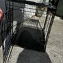 Dog Crate Image 4