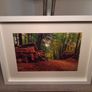 Rostellan Woods Image 7