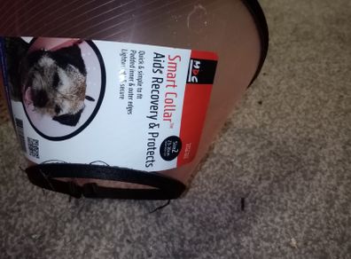 Dog cone