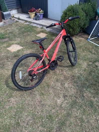 Girls bike 24