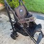 buggy Image 2