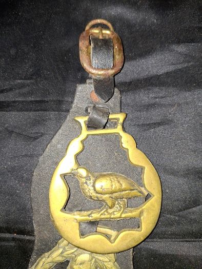 3 Old Brass Horse Medallions mounted on a strap, Postage Available,