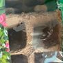 Propagator Image 3