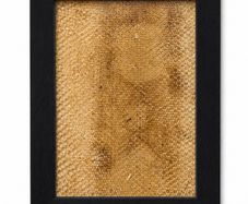Framed snake skin 5 Available