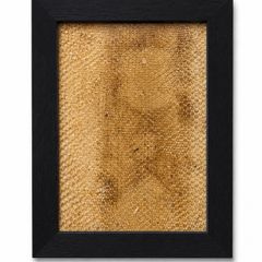 Framed snake skin 5 Available