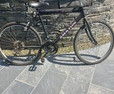 Bikes