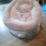 Baby Seat Bouncer Image 4