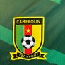 Cameroon World Cup 2022 Home Jersey Image 7