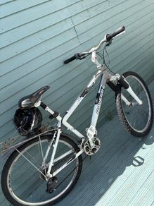 Raleigh bike