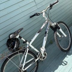 Raleigh bike