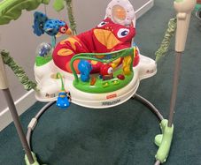 Fisher Price Rainforest Jumperoo