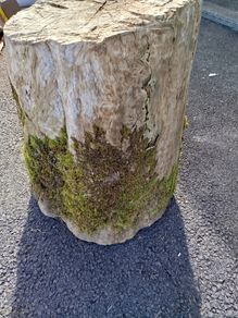 Garden stump
