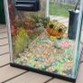 Fish tank Image 2