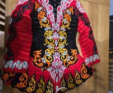 Rising star irish dancing dress