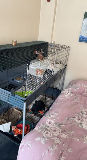 Large Rabbit Cage