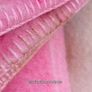 Pure Wool Blanket Image 8
