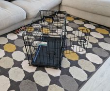 Dog crate, double door, 22 inch