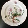 Villeroy & Boch  Botanica 8 Soup Coupe & Saucers Image 6