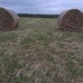 Hay Bales for Sale Image 2
