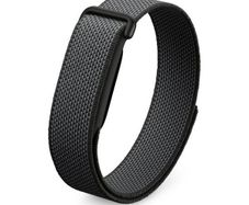 Fitbit Air