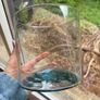 Round glass vase Image 2