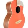 Anuenue tenor ukulele and case Image 5