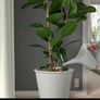 Ikea Self Watering Large Planter Pot, Wheels, 32cm Image 2