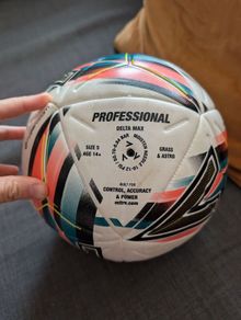 Mitre Delta Max Professional Football (Size 5)