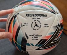 Mitre Delta Max Professional Football (Size 5)
