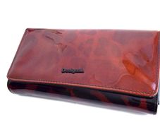 Desigual Animal Print Patent Leather Bag