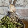 New bespoke 15cm high Jeeves the hare butler with tray and dried moss Image 2