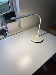 Study lamp