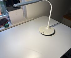 Study lamp