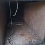Single-Axle Enclosed Box Trailer. Image 8
