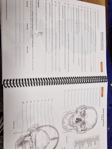 Trail Guide to the Body Workbook