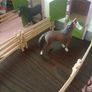 Schleich horse stables & horses Image 8