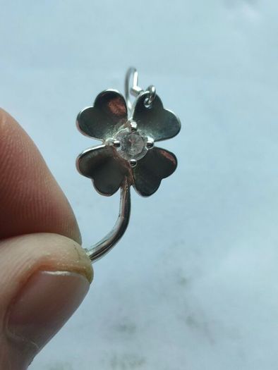 A pair of Sterling Silver earrings.
