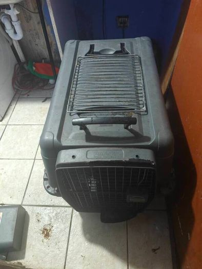 Large AniOne Hard-Shell Dog Crate / Travel Carrier (Size L)