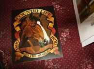 main image for ad Country Life (brown Horse)