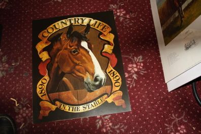 Country Life (brown Horse)